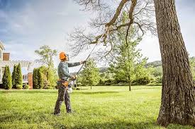 Umatilla, FL Tree Removal and Landscaping Services Company